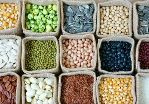 بوکان بزرگترین تولید کننده حبوبات در آذربایجان غربی