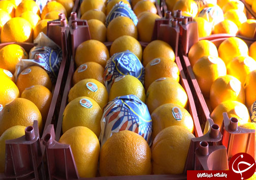 میوه شب عید با طعم ارزانی، سوغاتی از مازندران + فیلم