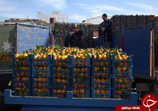 میوه شب عید با طعم ارزانی، سوغاتی از مازندران + فیلم
