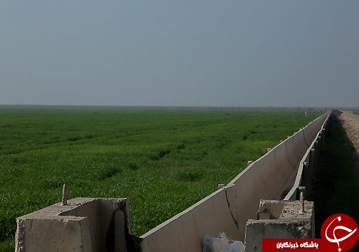 طرح ۵۵۰ هزار هکتاری، راهکاری برای احیای اراضی و اشتغال زایی