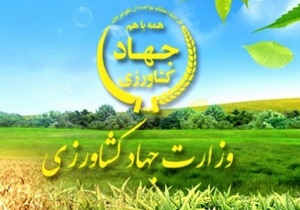 تولید در حوزه کشاورزی باید بر اساس نیاز بازار باشد
