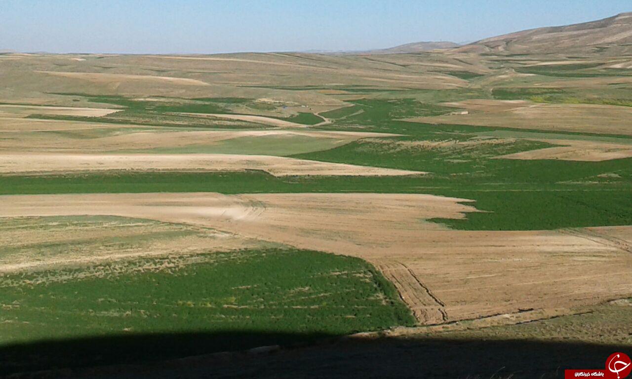 چشم&zwnj;اندازی از طبیعت دیدنی در روستای کلاته + تصاویر