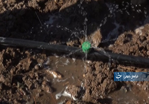 خراسان جنوبی؛ قطب مقاومت در برابر خشکسالی + فیلم