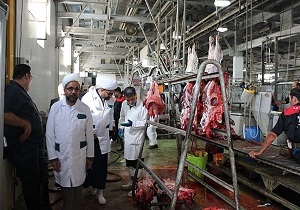 برگزاری دوره آموزشی ناظرین شرعی دام در خوزستان