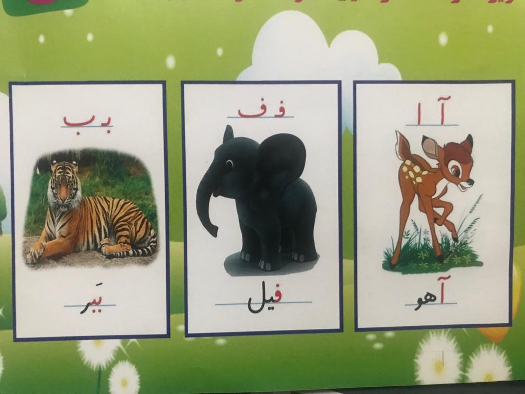 خلاقیت معلمی فراتر از روش&zwnj;های سنتی؛ از تدریس با &laquo;واقعیت افزوده&raquo; تا طراحی نانو سنسور