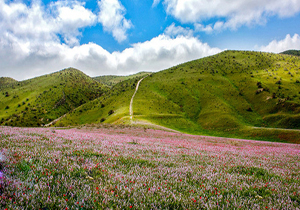 احساس نیاز به یک پارک ملی در خراسان جنوبی