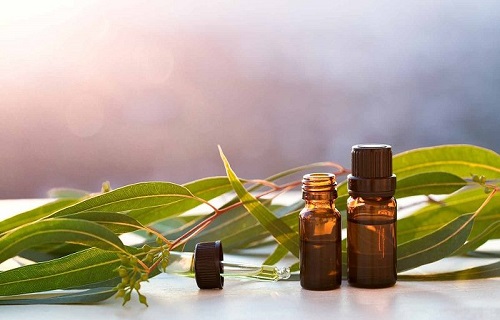اگر زخم معده دارید از مصرف این دارو خودداری کنید/درمان 2 بیماری با روغن اکالیپتوس/چگونه وزوز گوش را درمان کنیم؟