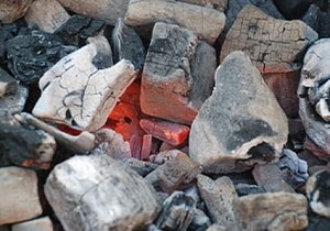 گرم کردن خانه با ذغال به قیمت جان نوجوان ۱۳ ساله بستکی