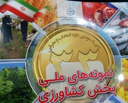 معرفی ۴ گیلانی به عنوان تولیدکننده نمونه بخش کشاورزی