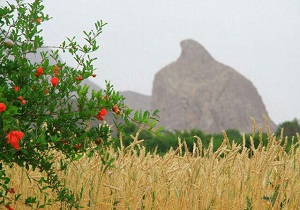 اجرای طرح آبرسانی باغات شهرستان تفت به زودی