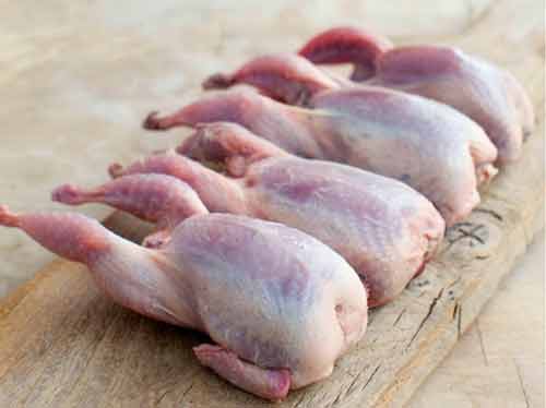 مظنه فروش بلدرچین در بازار چقدر است؟
