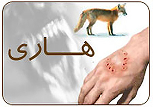 آغاز طرح واکسیناسیون سگ‌های روستایی بر علیه بیماری هاری در پیرانشهر