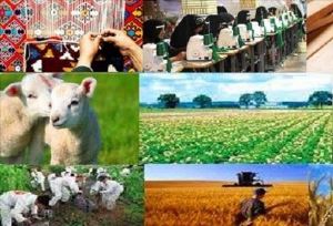 اشتغالزایی برای ۲۲۳ نفر در شفت