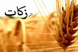 جمع آوری بیش از ۶۵ میلیارد ریال زکات در همدان