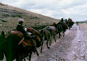 نوید روز‌های خوب برای عشایر خوزستان