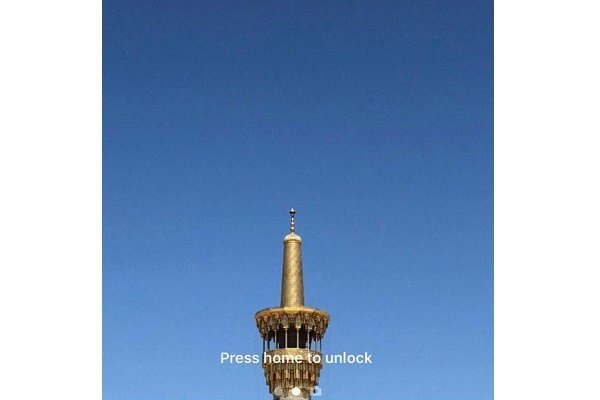 ببخشید من دزد نیستم!