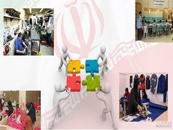 ۱۲ هزار و ۲۰۰ نفردر تعاونی&zwnj;های فعال استان زنجان مشغول کارهستند