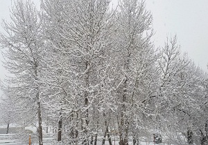کاهش ۳ الی ۴ درجه دمای هوای آذربایجان غربی