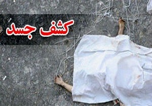 خودرو پیکان سرنخ قتل مادر و دختر در کنار جاده/ راننده: عصبانی شدم، با دمبل ۳ کیلویی آن‌ها را کشتم