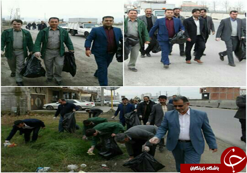 تخریب ۴ رشته دام هوایی در آمل +تصاویر