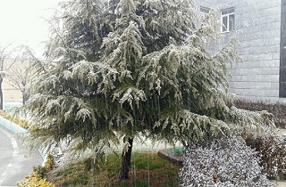 بارش بیش از ۱۵ میلی متر باران درآبیک/بارش برف زمستانی از روز یکشنبه