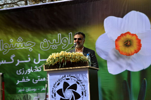 جشنواره گل نرگس در خفر