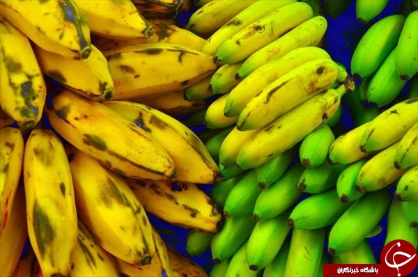 آیا میدانید پلانتین چیست و چه تفاوتی با موز دارد؟! +بررسی ارزش غذایی