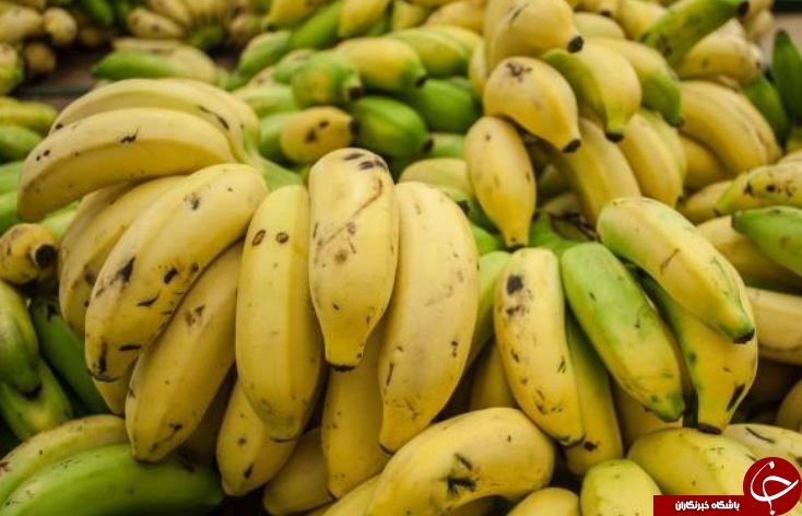 آیا میدانید پلانتین چیست و چه تفاوتی با موز دارد؟! +بررسی ارزش غذایی