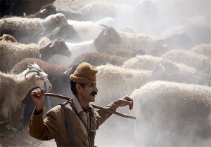 مستمری‌بگیران صندوق بیمه اجتماعی روستایی بسته جبرانی می‌گیرند