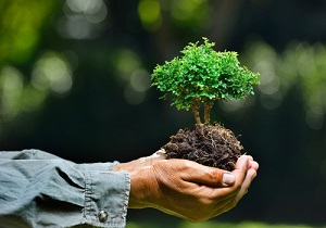 حفظ منابع طبیعی و حراست از آب و خاک وظیفه ملی و همگانی است
