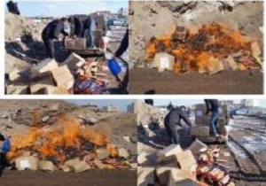 تنباکوی تاریخ گذشته در اردبیل معدوم شد