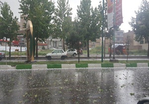 رکورد زنی شهرستان میامی در بارندگی ها