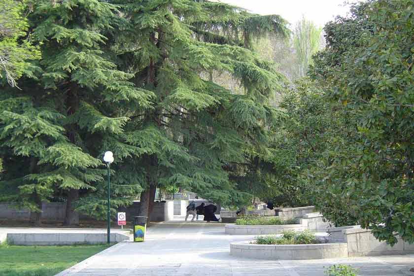 احداث پارک ۱۰ هزار مترمربعی در جنوب شیراز