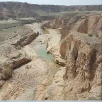 سد دره امیری کشاورزی دیلم را رونق میدهد سد دره امیری کشاورزی دیلم را رونق میدهد