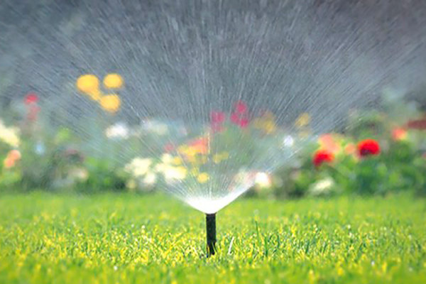 حذف آبیاری تانکری فضای سبز سطح منطقه ۵