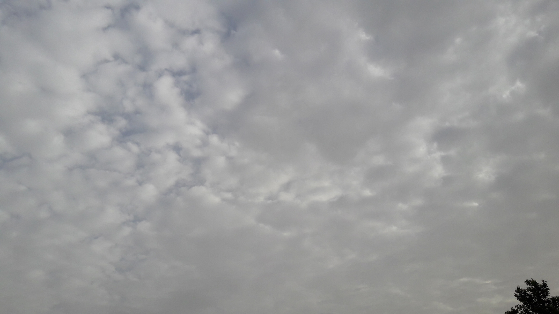 بارش پراکنده در استان بوشهر