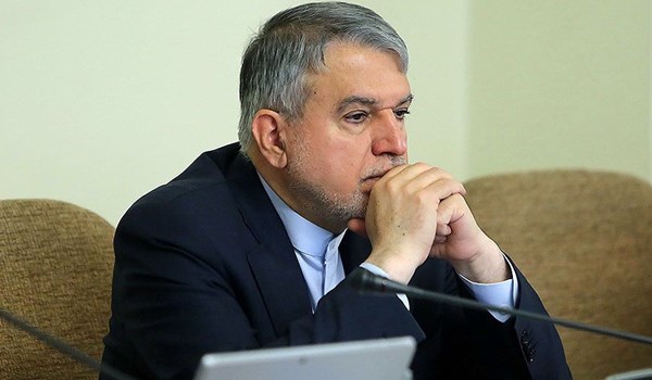 صالحی امیری: