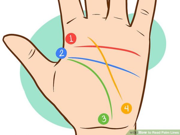 چگونه خطوط کف دست را بخوانیم؟