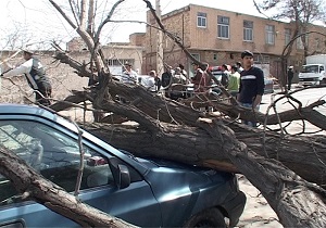 خسارت تندباد به تاسیسات و مبلمان شهری مشگین