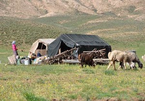 ۱۴۹ قشلاق استان اردبیل ظرفیت تبدیل شدن به روستا را دارند