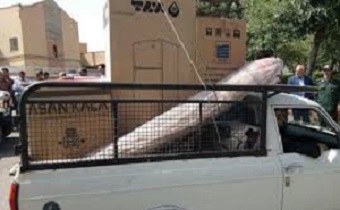باکمک خیرین اردبیلی ۶۰۰ نوعروس نیازمند راهی خانه بخت شدند