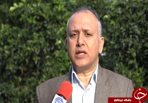 جوان سازی باغ&zwnj;های قدیمی مرکبات مازندران با پرداخت تسهیلات میلیونی +فیلم