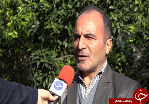 جوان سازی باغ&zwnj;های قدیمی مرکبات مازندران با پرداخت تسهیلات میلیونی +فیلم