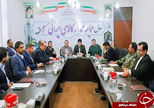 تشکیل ۱۸ کارگروه برگزاری با شکوه برنامه&zwnj;های دهه فجر در حمیدیه