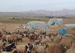 طعم شیرین بندگی در ارتفاعات زاگرس + فیلم