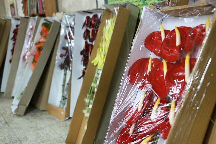 ۳۰۰۰ شاخه گل طبیعی برای گا&zwnj;آرایی روز ولادت حضرت زینب (س) به سوریه رسید+تصاویر