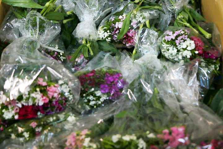 ۳۰۰۰ شاخه گل طبیعی برای گا&zwnj;آرایی روز ولادت حضرت زینب (س) به سوریه رسید+تصاویر
