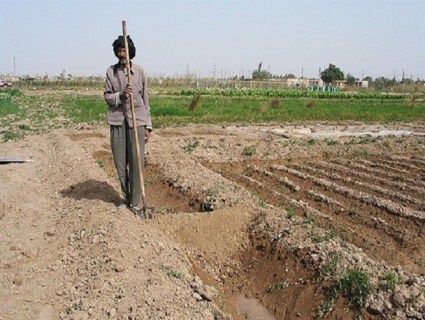 برگزاری کارگاه خاک ورزی حفاظتی در امیدیه