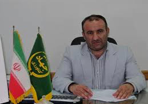 ۱۱ درصد تولیدات صنعت دام و طیور کشور در مازندران