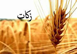 شهرستان مهاباد پیشرو در پرداخت زکات در آذربایجانغربی